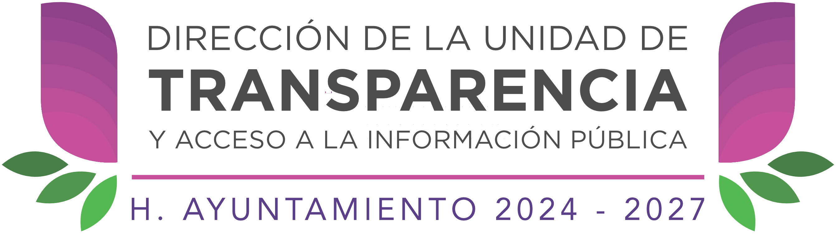 Transparencia Uruapan